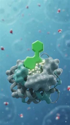 Enzyme action explained #molecularbiology #enzymekinetics #enzymes #biochemistry #biology
