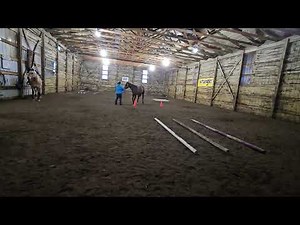 January 9th 2026 Lindsey Gillingham and Peppered Shotz In hand Trail