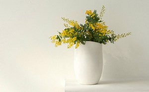 【页游实况】如何把球玩大 agar.io中文版