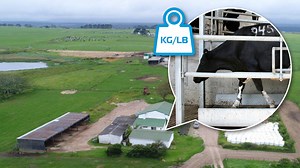 The “Weigh” to Higher Profit! | Afimilk