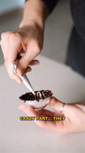 Why Milk Duds Are Not Perfectly Round