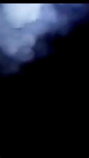 Effective Pest Control Solutions for Bedbugs and Rodents