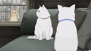 4.2M views · 43K shares | Introducing the official trailer for Animals., Feb. 5 on HBO. | Animals | Facebook