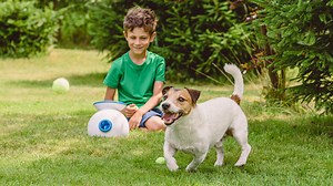 Sit back and watch your dog in action with an automatic ball throwing machine
