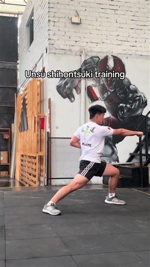 Mastering Unsu Shihontsuki in Karate Training