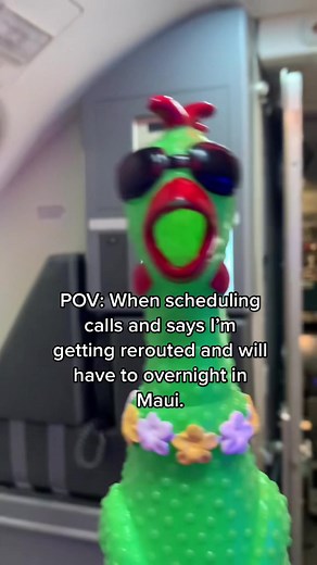 As a Flight Attendant, reroutes are usually no fun. But, another day in Maui sounds good to me! @flyclucknorris #flightattendantlife #falife #flightattendant #travel #funny #comedy #humor #hulachicken #airportshenegians #traveltok #flygirl #mentalhealthawarness #aviation #crewlife #airplane #cabincrew #airport #travel #vacation #passenger #hotel