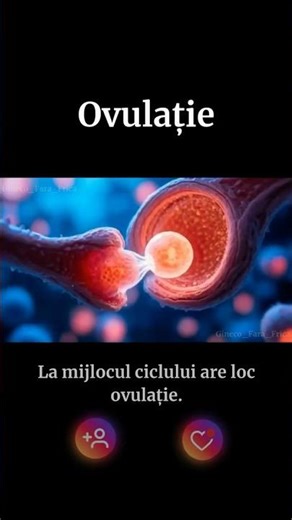 Menstruația NU e ceva rușinos. Este un proces biologic normal, pe care merită să-l înțelegi. ❤️
