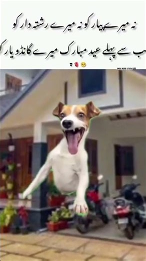 😂Anus Meme Studio 🎬 | Daily Funny & Trending Memes 🔥