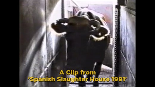 Spanish Slaughter House 1991