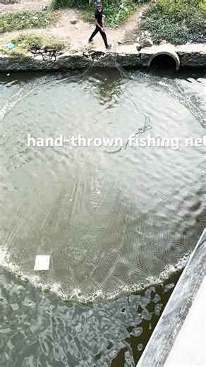 #cast a net #catch fish #traditional net casting#hand-thrown fishing net
