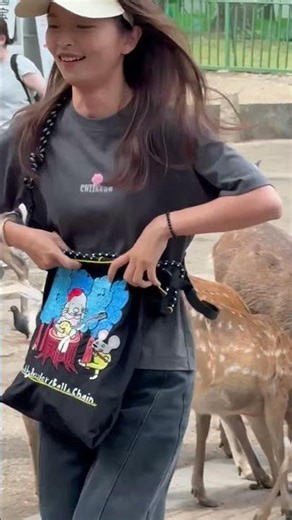 神の使い？奈良公園の鹿たちの不思議な世界#奈良公園#奈良の鹿#奈良鹿#鹿#鹿と人#鹿とのふれあい#子どもと鹿#癒しの瞬間#感動動画#日本の風景#奈良観光#JapanTravel#Nara