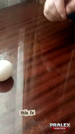 Why Won’t This Egg Fall? 🤯 #shorts
