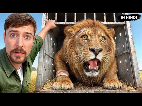 I Saved 1,000 Animals From Dying