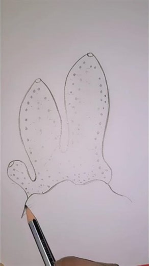 Structure of 𝙎𝙮𝙘𝙤𝙣 #animalkingdom#porifera#sycon#sponges#biology#sycondiagram