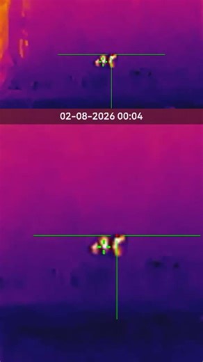 Hog hunting with thermal for the first time. #night #wildlife #virtalshorts