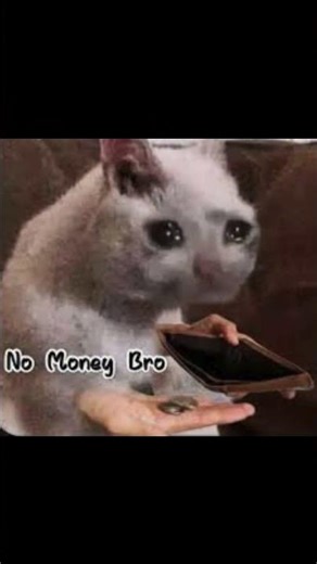 dr pepper #cat #catmemes #memes