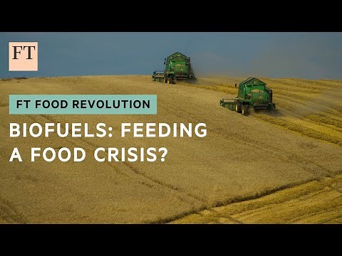 Food versus fuel: is farmland use out of balance? | FT Food Revolution