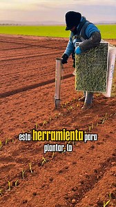 169K views · 618 reactions | Muchos dicen que en España solo utilizan máquinas, no también se utiliza esta herramienta conocido como el nombre pincho. Qué tal les parece? #Cebollas #Cebolla #CebollaEspaña #CampoEspañol #AgriculturaEspaña #VidaEnElCampo #TrabajoEnElCampo #Agricultores #EspañaRural #Campo #FarmTok #AgroTok #RuralTok #OnionFarming | Vida del campo real | Facebook