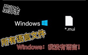 当你尝试删除Windows所有语言文件(*.mui)会发生什么？