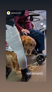 Georgia Boot on Reels