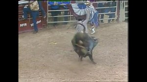 ⚠️ Cody Lambert ⚠️ ☆ PRCA National Finals Rodeo 1985 ☆ Colaborador: Alejandro Mauricio Charolais. #oldschoolrodeoforever #galeriaamigosdelrodeo #amigosdelrodeozac #rodeo #champion #cowboy #bullriding #longlivecowboys #prca #prcarodeo | Amigos Del Rodeo