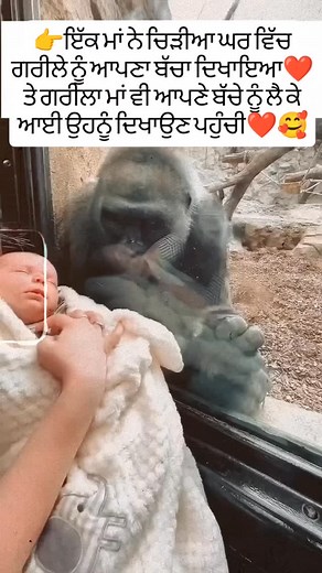 Kuldeep Kaur on Reels