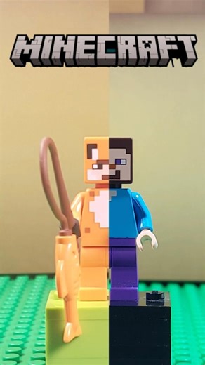 Lego Minecraft Skin 50/50 | Fox vs. Steve