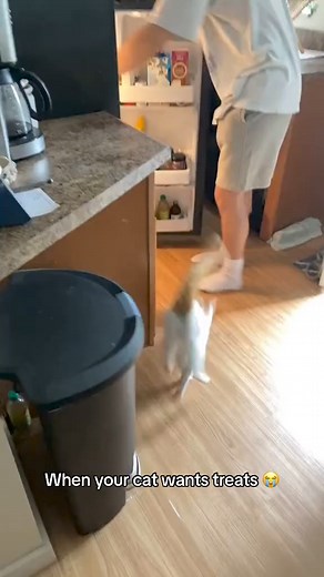 217K views · 5.1K reactions |  | Kitty 1st | Facebook