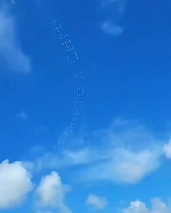 19K views · 126 reactions | Bitcoin 2021 conference is in full effect. #ONLYinDADE @iamnoahrobert | ONLY in DADE | Facebook