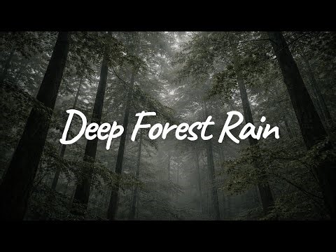 Deep Forest Interior Rain • Stress Relief, Study & Sleep | Relaxing Rain for Pure Peace (No Talking)
