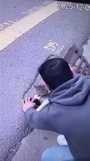 CCTV Captures Emotional Cat Rescue | Real Footage That Touched Everyone 😢🐱 #shorts” #catworld