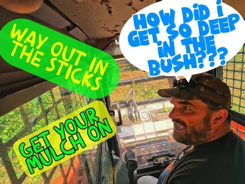 Forestry Mulchin' - Boy, I'm In The Thick Of It Now!