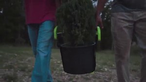 Watch Adjustable Moving Straps, Lifting and Carrying Straps for Furniture, Boxes, Mattress, Heavy Objects on Amazon Live