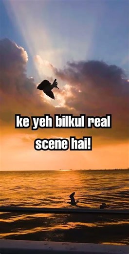 Sunset Lovers: Must Watch & Feel Relaxed | Peaceful Music + Epic Golden View #music #shorts