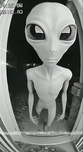Doorbell Caught Alien Warning 👽 (B&W Footage) #Shorts. #horror #alien