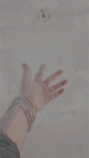 captain humza khan on TikTok