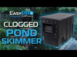 Troubleshooting a Clogged Pond Skimmer | Koi Pond Skimmer Maintenance Tips