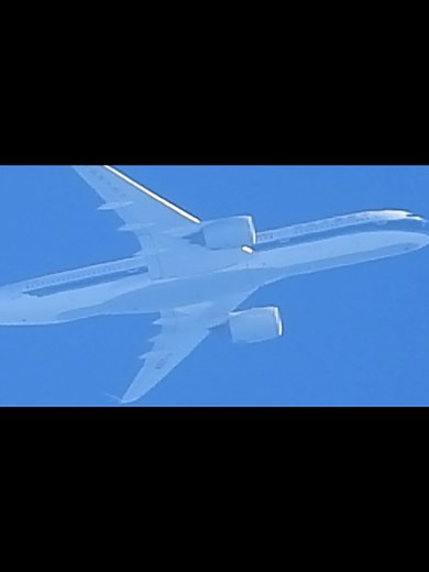 Nikon p1000 zoom #nikonp1000 #p1000 #zoom