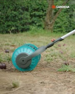 Roll on autumn fruit! Enjoy harvesting your fallen feijoas, apples, 🍎 pears, 🍐 and even smaller fruits (range 4 to 9cm) without bending down - simply roll over them with the GARDENA combisystem Fruit Collector. So whether it's walnuts or apples, comfortably collecting windfall has never been easier - or more fun! As part of the GARDENA combisystem, the Fruit Collector fits firmly and securely on to either combisystem Wooden handle or combisystem Telescopic handle. Visit our website for more in