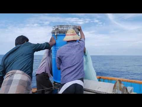 ICAR-CIFT Modern Long Line Fishing Techniques for Tuna