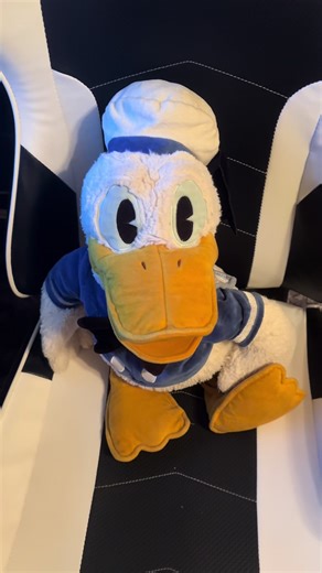I finally got a Folkmanis Donald Duck puppet after 7 years! | puppet