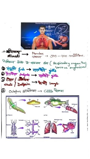 SSCGD GS notes📖🖋#sscgd #viralshorts #sscchsl all subject notes available📝#ssccgl #trending #shorts