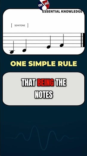 The simple rule of Natural Half-Steps! 🎹