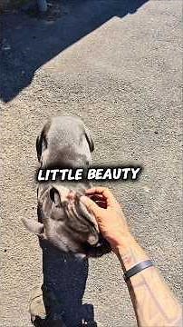 Scrapman – Couple of Washing Machines, Collection (Part 1) 📢 ♻️ #scrapmetalcollection #teamscrapman