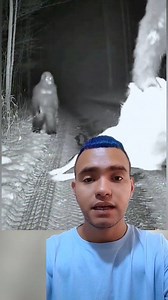 157K views · 1.8K reactions | ⭕IMPRESIONANTE ‼Un yeti le enseña a su cria a conseguir sus alimentos en la noche #seasonalchanges #reelsvideo #sobrenatural #demonio #yeti | Yasu | Facebook