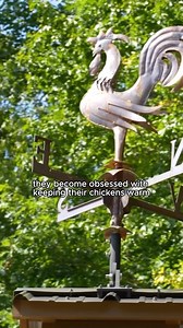 2.6K views · 16 reactions | Have you seen our latest YouTube video? So many cool features were added to this coop and it wasn’t by us! So we can’t help but share them all. Without you all we wouldn’t be who we are, so thanks! Happy Monday . . . . . #farm #hens #backyardchickens #trending #homestead #farmlife #homesteading #chickencoops #backyard #rooster #petlovers #explore #reels #viral #chicken #woodworking #carolinacoops | Carolina Coops | Facebook