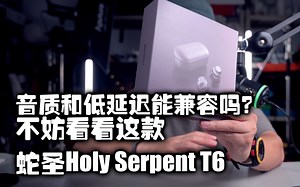 【好物分享】618好物第七集|蛇圣Holy SerpentT6圈铁蓝牙耳机