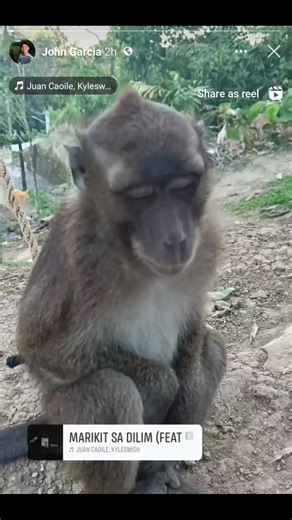 John garcia on TikTok