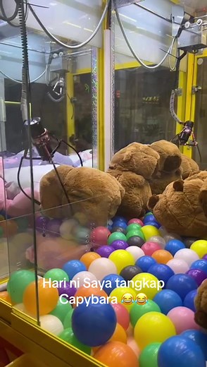 Challenging Claw Machine for Capybara Plushies
