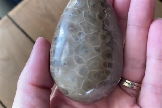 Polished Petoskey Stone 2.8” X 1.8” - Etsy
